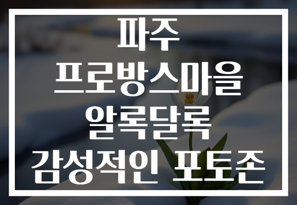 파주 프로방스마을, 알록달록 감성적인 포토존에서 특별한 추억을 만들어보세요!