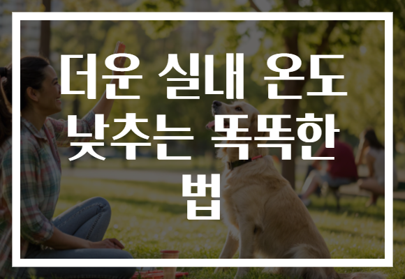 더운 실내 온도 낮추는 똑똑한 법