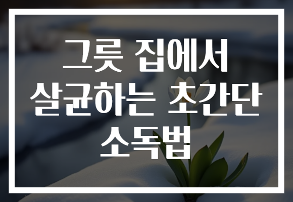 그릇 집에서 살균하는 초간단 소독법