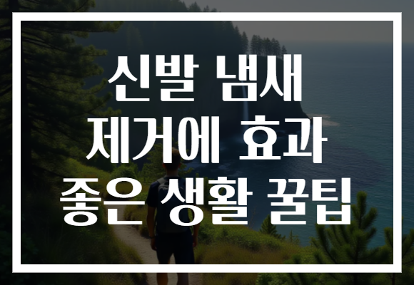 신발 냄새 제거에 효과 좋은 생활 꿀팁