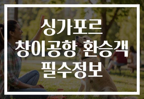 싱가포르 창이공항 환승객 필수정보