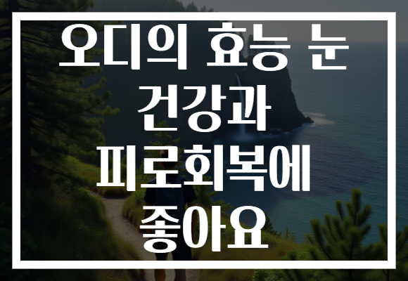 오디의 효능 눈 건강과 피로회복에 좋아요