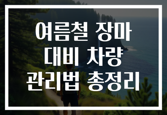 여름철 장마 대비 차량 관리법 총정리