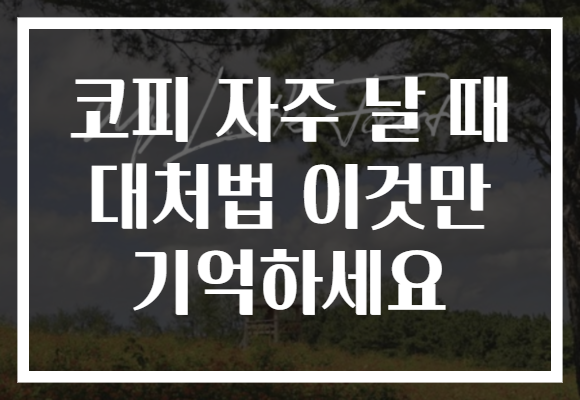 코피 자주 날 때 대처법 이것만 기억하세요