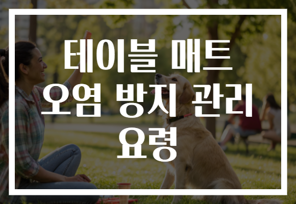 테이블 매트 오염 방지 관리 요령