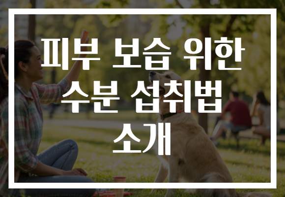 피부 보습 위한 수분 섭취법 소개
