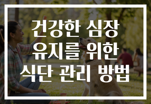 건강한 심장 유지를 위한 식단 관리 방법