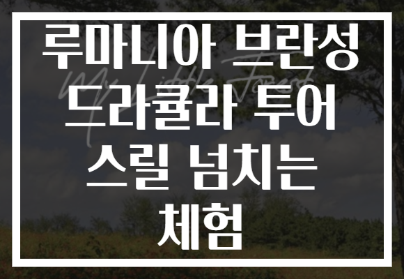 루마니아 브란성 드라큘라 투어 스릴 넘치는 체험