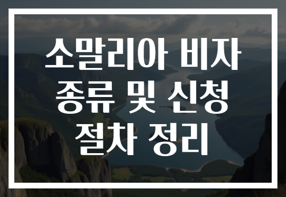 소말리아 비자 종류 및 신청 절차 정리