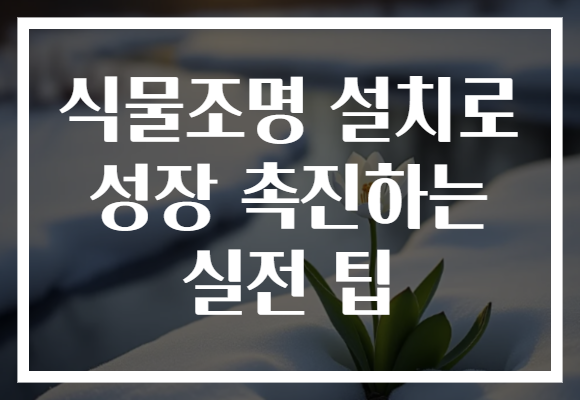 식물조명 설치로 성장 촉진하는 실전 팁