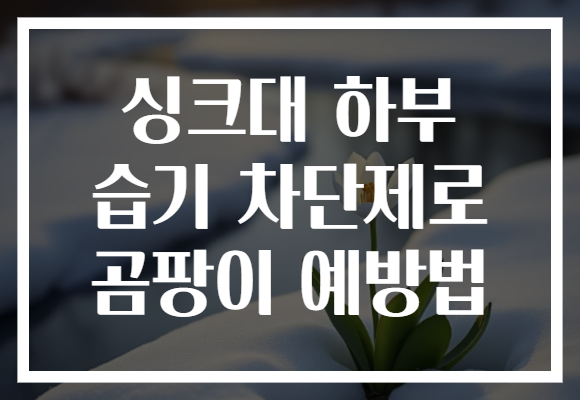 싱크대 하부 습기 차단제로 곰팡이 예방법