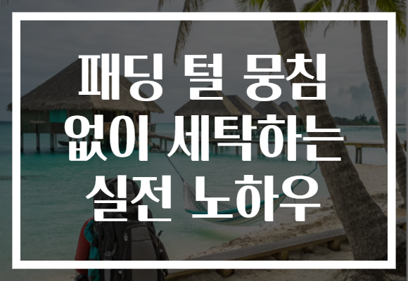 패딩 털 뭉침 없이 세탁하는 실전 노하우