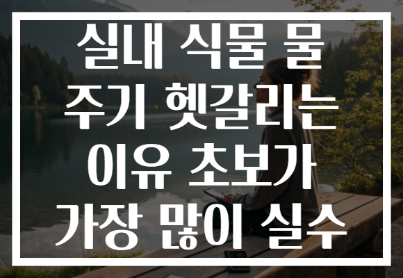 실내 식물 물 주기 헷갈리는 이유 초보가 가장 많이 실수