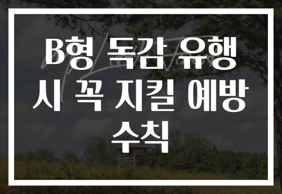 B형 독감 유행 시 꼭 지킬 예방 수칙 B형 독감 유행 시 꼭 지킬 예방 수칙