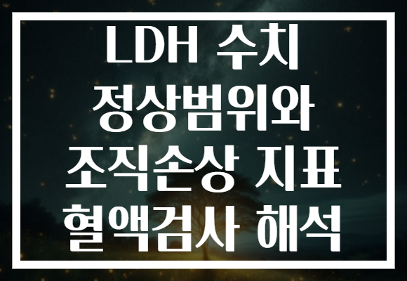 LDH 수치 정상범위와 조직손상 지표 혈액검사 해석