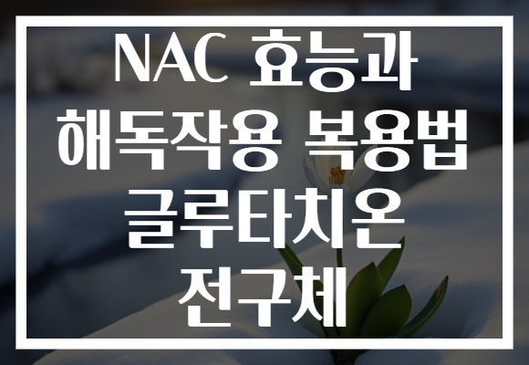 NAC 효능과 해독작용 복용법 글루타치온 전구체