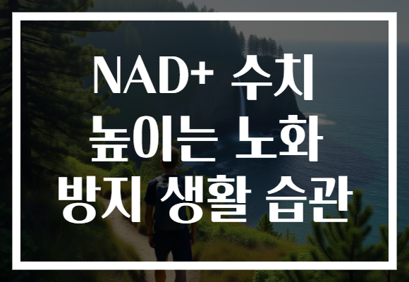 NAD+ 수치 높이는 노화 방지 생활 습관 NAD+ 수치 높이는 노화 방지 생활 습관