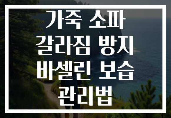 가죽 소파 갈라짐 방지 바셀린 보습 관리법 가죽 소파 갈라짐 방지 바셀린 보습 관리법
