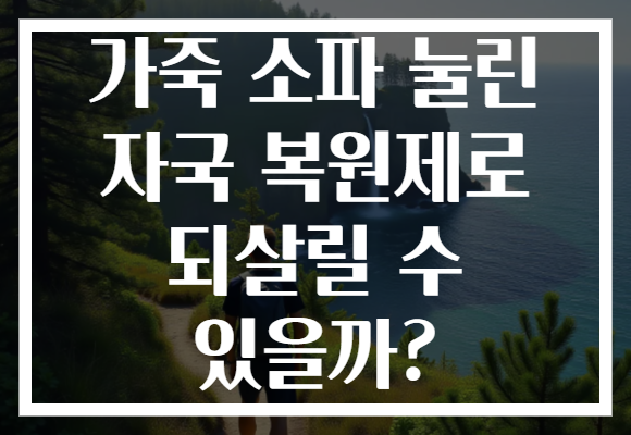 가죽 소파 눌린 자국 복원제로 되살릴 수 있을까? 가죽 소파 눌린 자국 복원제로 되살릴 수 있을까?