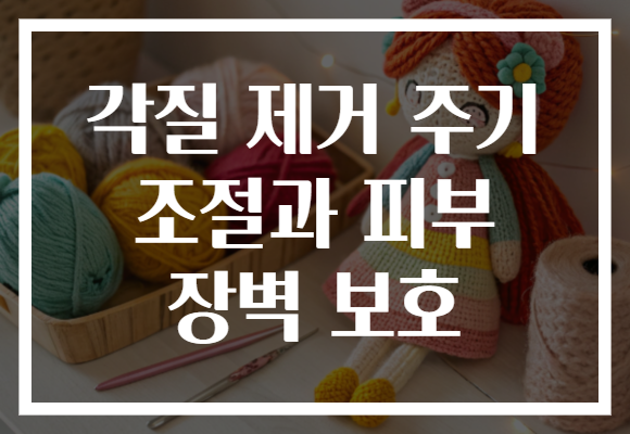 각질 제거 주기 조절과 피부 장벽 보호