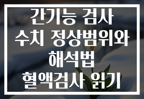 간기능 검사 수치 정상범위와 해석법 혈액검사 읽기