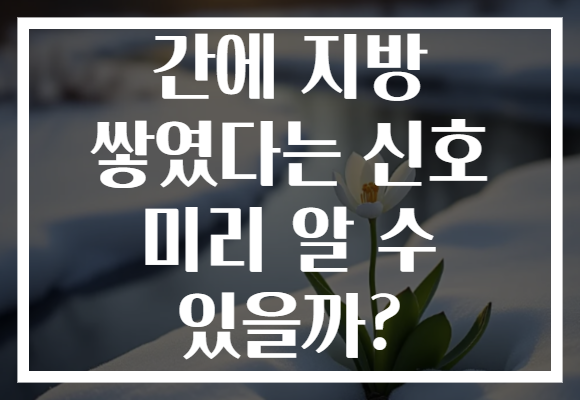 간에 지방 쌓였다는 신호 미리 알 수 있을까? 간에 지방 쌓였다는 신호 미리 알 수 있을까?