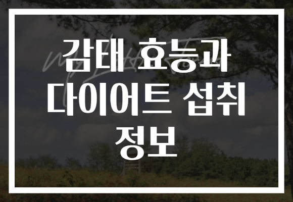감태 효능과 다이어트 섭취 정보