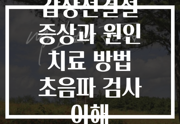갑상선결절 증상과 원인 치료 방법 초음파 검사 이해
