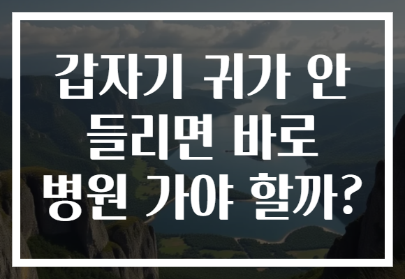 갑자기 귀가 안 들리면 바로 병원 가야 할까? 갑자기 귀가 안 들리면 바로 병원 가야 할까?