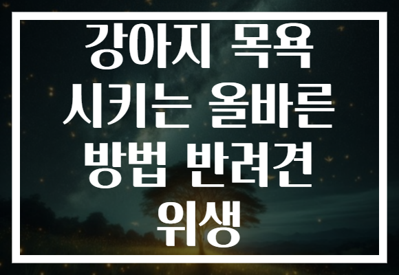 강아지 목욕 시키는 올바른 방법 반려견 위생
