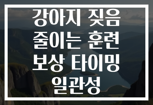 강아지 짖음 줄이는 훈련 보상 타이밍 일관성