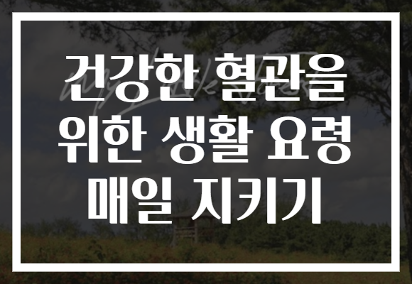 건강한 혈관을 위한 생활 요령 매일 지키기