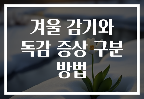 겨울 감기와 독감 증상 구분 방법