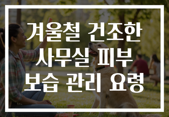 겨울철 건조한 사무실 피부 보습 관리 요령 겨울철 건조한 사무실 피부 보습 관리 요령