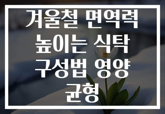 겨울철 면역력 높이는 식탁 구성법 영양 균형