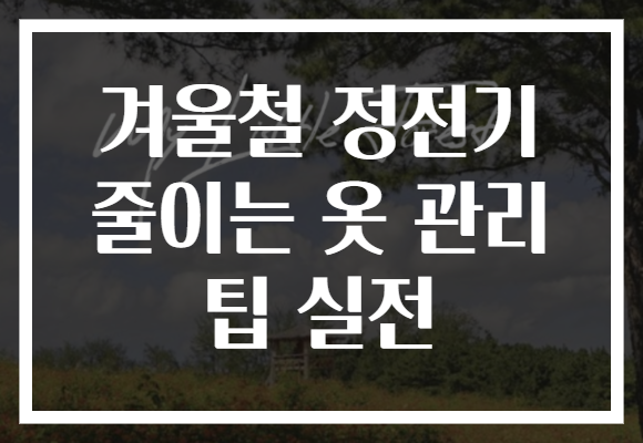 겨울철 정전기 줄이는 옷 관리 팁 실전
