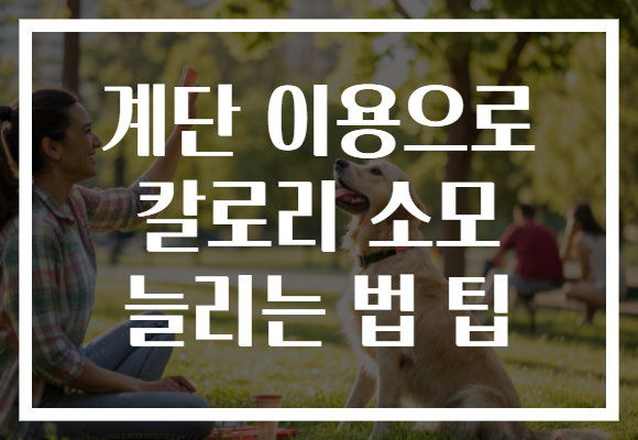 계단 이용으로 칼로리 소모 늘리는 법 팁