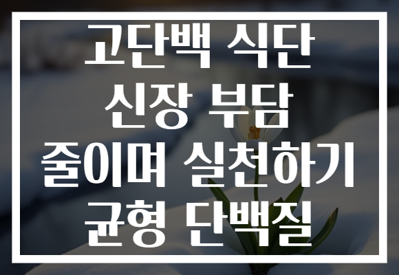 고단백 식단 신장 부담 줄이며 실천하기 균형 단백질