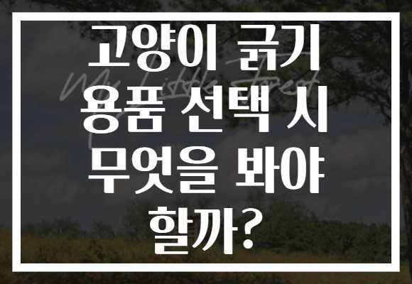 고양이 긁기 용품 선택 시 무엇을 봐야 할까?