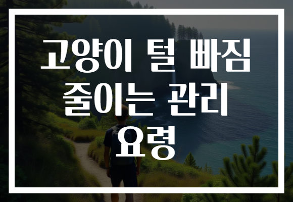고양이 털 빠짐 줄이는 관리 요령 고양이 털 빠짐 줄이는 관리 요령