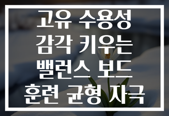 고유 수용성 감각 키우는 밸런스 보드 훈련 균형 자극