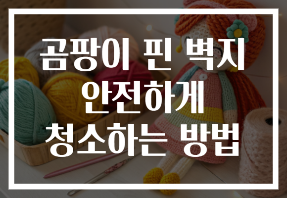 곰팡이 핀 벽지 안전하게 청소하는 방법