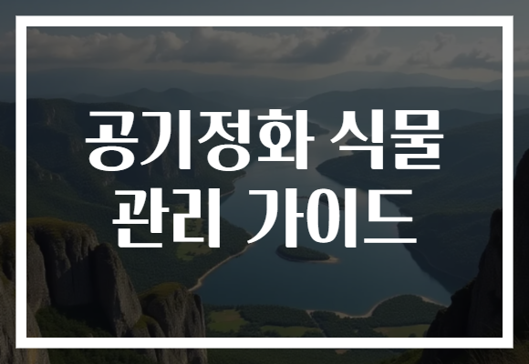 공기정화 식물 관리 가이드