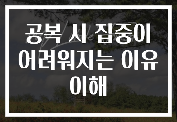 공복 시 집중이 어려워지는 이유 이해