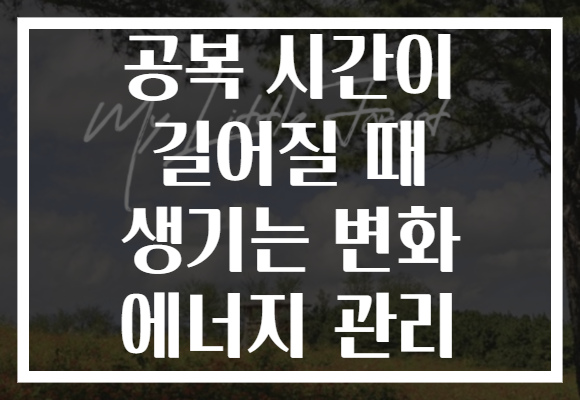 공복 시간이 길어질 때 생기는 변화 에너지 관리