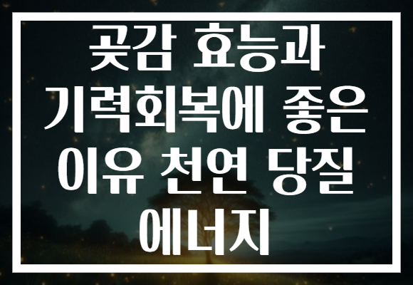 곶감 효능과 기력회복에 좋은 이유 천연 당질 에너지 곶감 효능과 기력회복에 좋은 이유 천연 당질 에너지