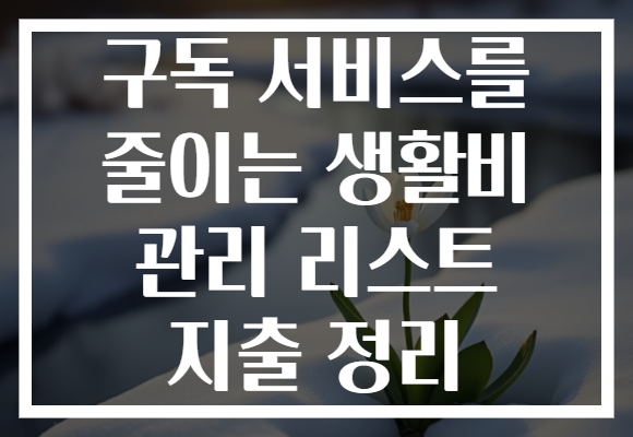 구독 서비스를 줄이는 생활비 관리 리스트 지출 정리