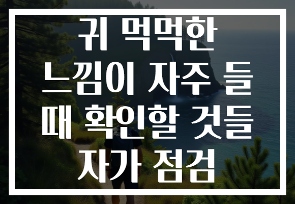 귀 먹먹한 느낌이 자주 들 때 확인할 것들 자가 점검 귀 먹먹한 느낌이 자주 들 때 확인할 것들 자가 점검