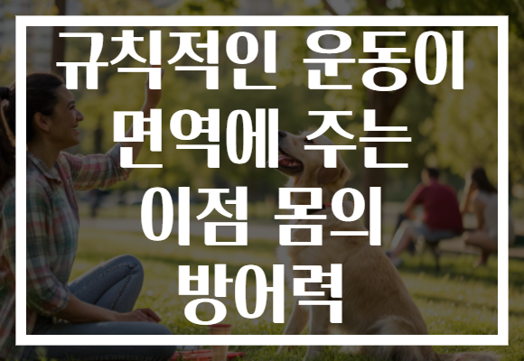 규칙적인 운동이 면역에 주는 이점 몸의 방어력 규칙적인 운동이 면역에 주는 이점 몸의 방어력