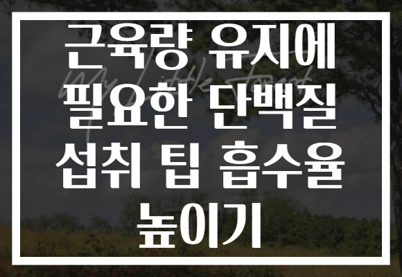 근육량 유지에 필요한 단백질 섭취 팁 흡수율 높이기